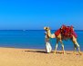 soma-bay-egypt-tours-portal